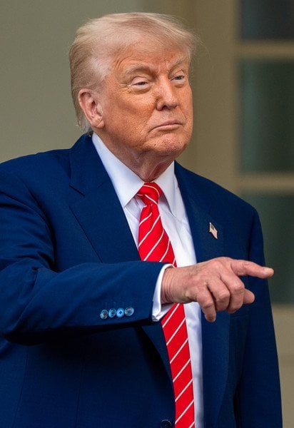 Трамп ответил, прилетит ли в Стамбул на переговоры Украины с РФ