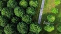 Гороскоп на серпень 2026 року