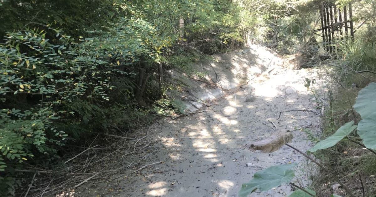 Русло реки Танаса возле села Криничное Белогорского района в Крыму полностью пересохло