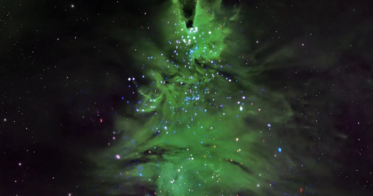 Зоряне скупчення NGC 2264, яке нагадує різдвяну ялинку