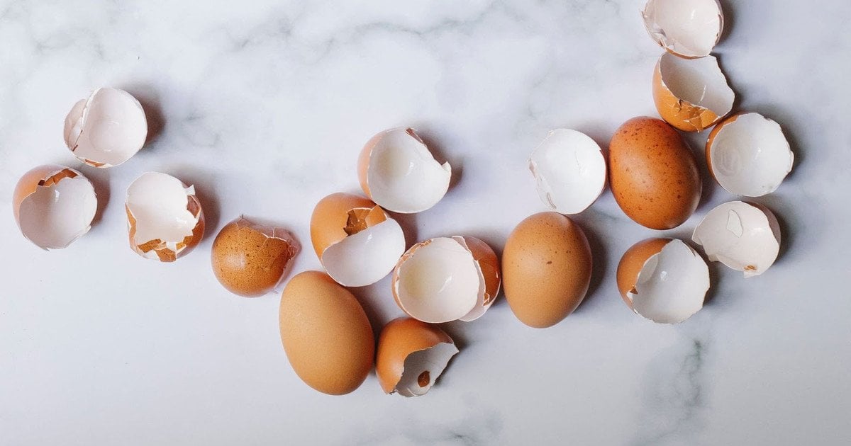 Яичная скорлупа