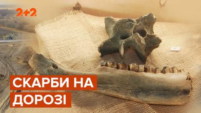В Днепре показали археологические находки, которые были раскопаны во время строительства трассы