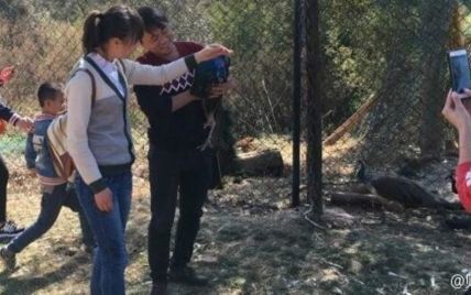 Посетители зоопарка ради селфи замучили двух павлинов