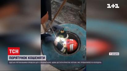 В Одесской области устроили спецоперацию по спасению котенка из колодца