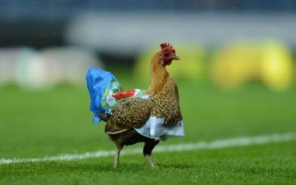 В Хорватии футболист убил курицу во время матча и получил красную карточку