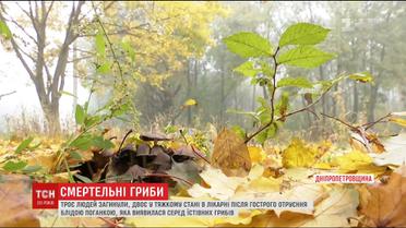 На Дніпропетровщині троє людей загинули внаслідок гострого отруєння грибами