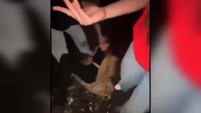 Во Львове две девушки жестоко избили третью и сняли это на видео