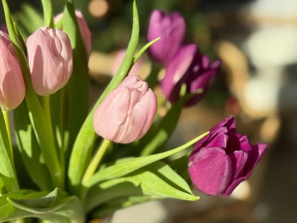 День ангела 7 марта — душевные поздравления в прозе / © unsplash.com