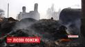 Житомирской области тлеет: полиция рассматривает несколько версий возгорания леса