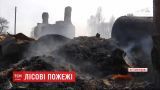 Житомирской области тлеет: полиция рассматривает несколько версий возгорания леса