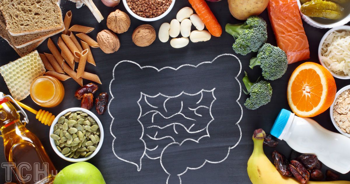 Малюнок кишківника