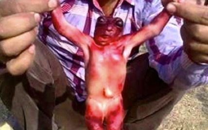 В Индии мужчина нашел "младенца пришельца"