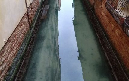 В Венеции из-за карантина вода стала невиданно чистой