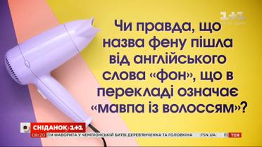 Красота требует техники: как выбрать фен, выпрямитель для волос и эпилятор