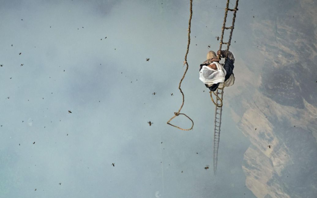 Непалець Мауле Дхан збирає мед на висоті 90 метрів. / © national geographic