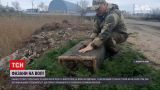 Новости Украины: в Одесской области вырастили и выпустили на волю почти сотню румынских фазанов