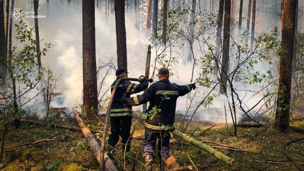 Один з осередків вогню ліквідовано, але виник новий / © Головне управління ДСНС України у Київській області