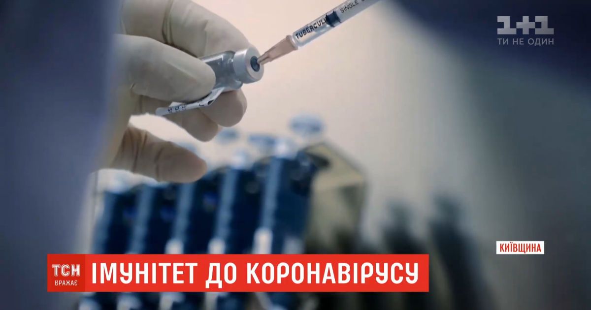 Как долго сохраняется иммунитет к коронавирусу - ученые обнародовали новые исследования