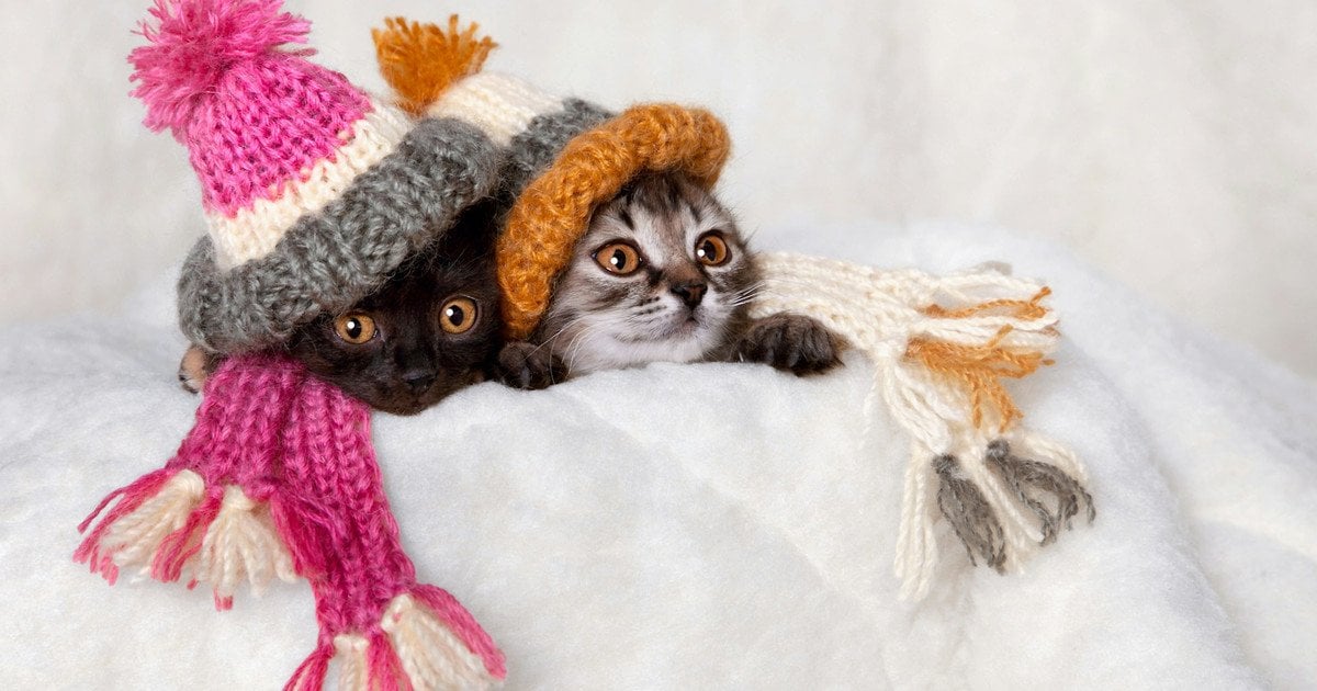 Який сьогодні, 21 лютого, день ангела