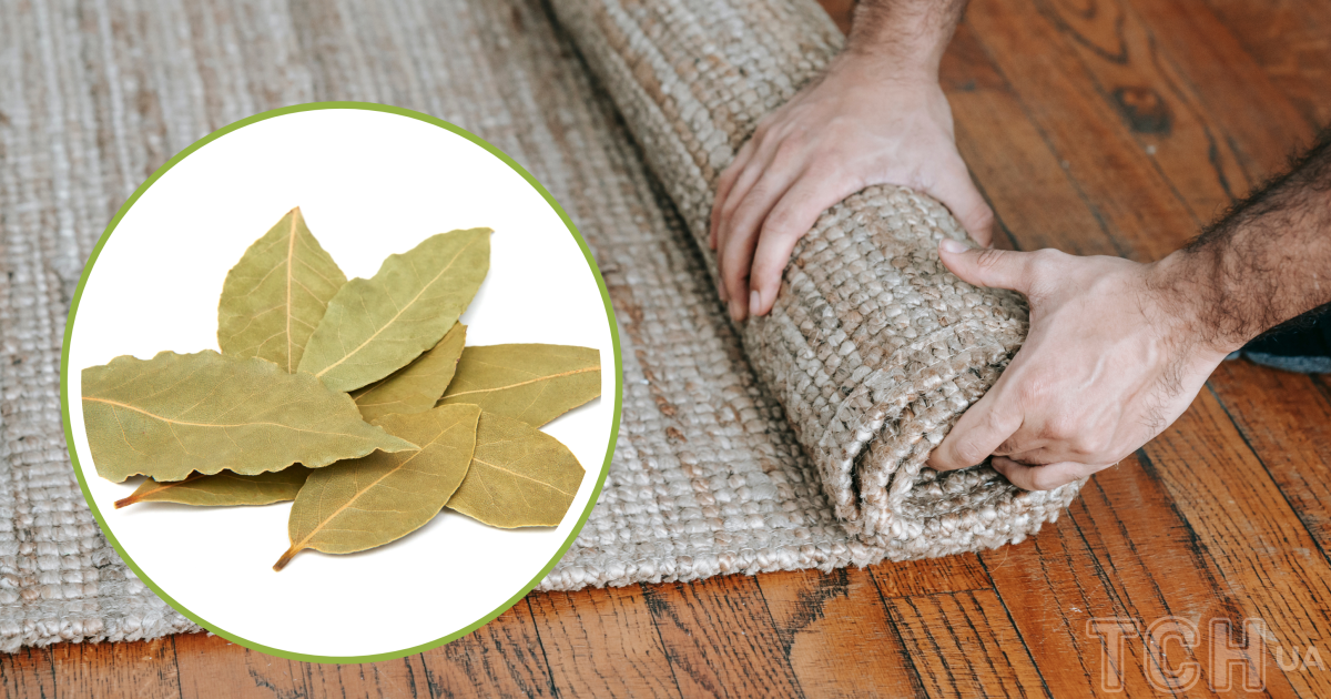 Зачем класть лавровый лист под ковер