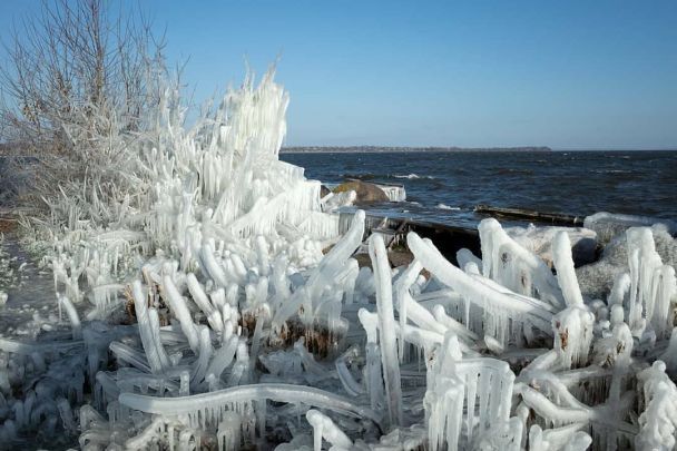 фото: Олександр Пічурін