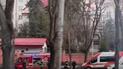 Фото: скриншот с видео очевидцев