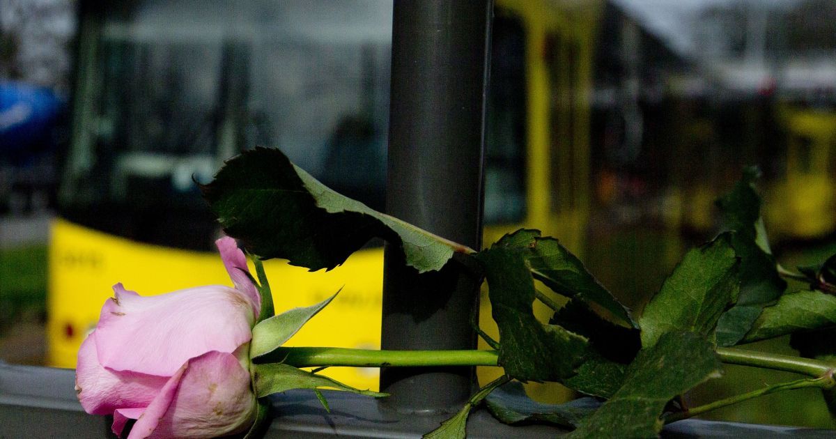 Стрельба в Нидерландах: суд оставил подозреваемого под стражей