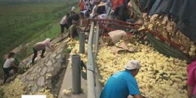 У китайській провінції Шаньдунь перекинулась вантажівка з курчатами