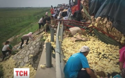 Сотни цыплят вызвали километровые пробки на китайском шоссе