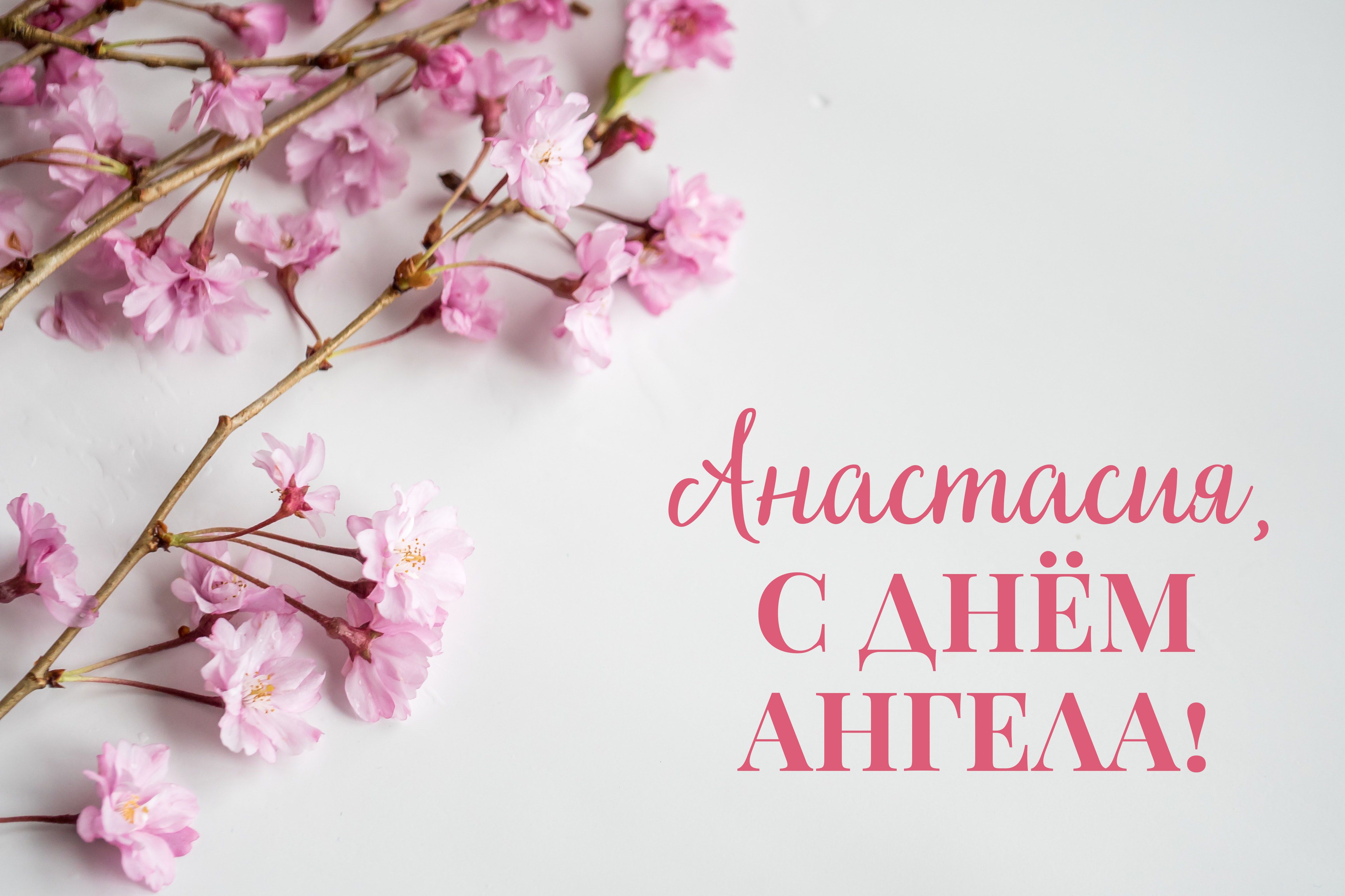 Поздравления с днем ангела Наталье 🎉 Поздравим всех!