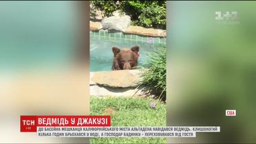 У Каліфорнії ведмідь прийшов скупатися у басейні до одного з мешканців міста Альтадена