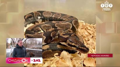 Містечко тварин-переселенців: яких тваринок прихистив Черкаський зоопарк