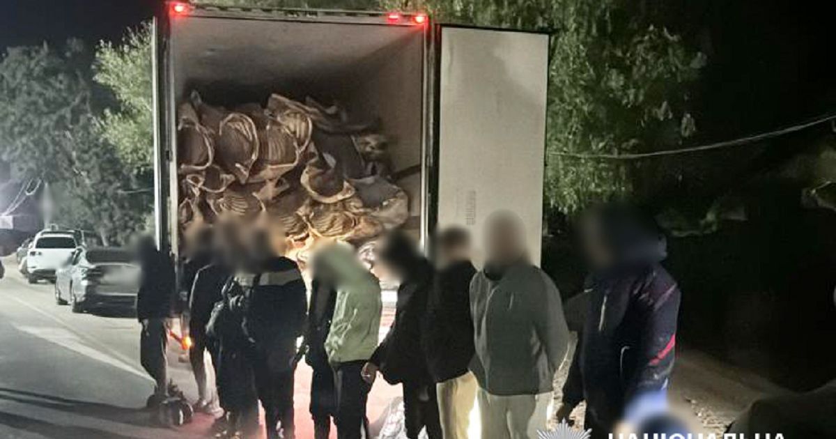 На Одещині затримали ухилянтів / Національна поліція України