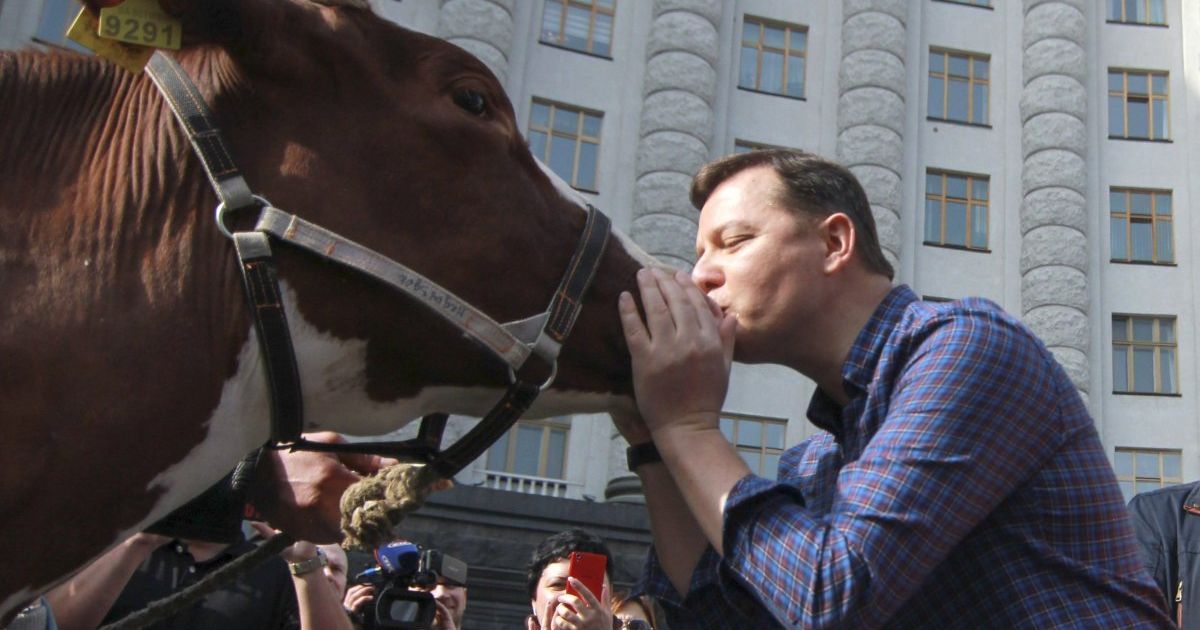 Поцелуи украинских политиков и празднование Дня бикини. Топ-10 позитивных новостей недели