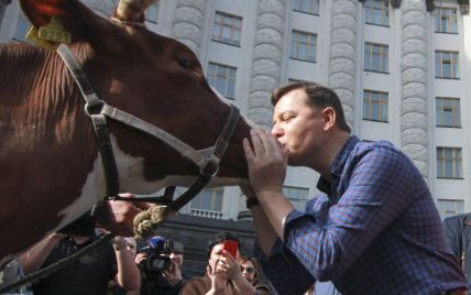 Поцілунки українських політиків та святкування Дня бікіні. Топ-10 позитивних новин тижня