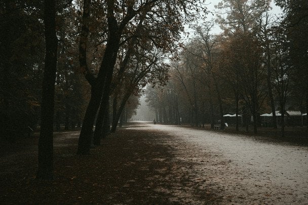 13 листопада мрячить чи йде дощ — до нестійкої і затяжної зими / © unsplash.com