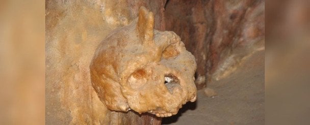 Сенсационная находка: ученые объяснили происхождение черепа тысячелетней давности