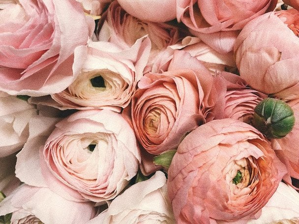 День ангела 9 января — душевные поздравления в прозе / © pexels.com