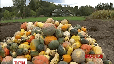 На Херсонщине трое крестьян обвиняют фермера-депутата в избиении за прицеп тыкв