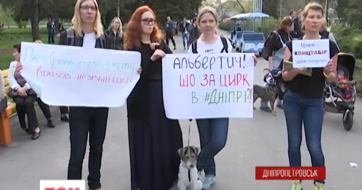 зоозащитники в Днепропетровске