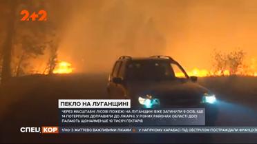 Масштабні пожежі у Луганській області не вщухають: палає 10 тисяч гектарів