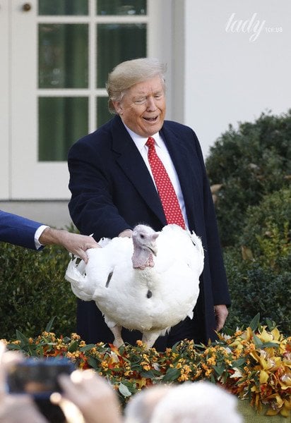 Меланія Трамп / © Associated Press