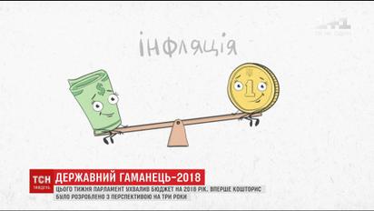 Падение гривны и рост цен: чего ожидать от госбюджета на 2018-й год