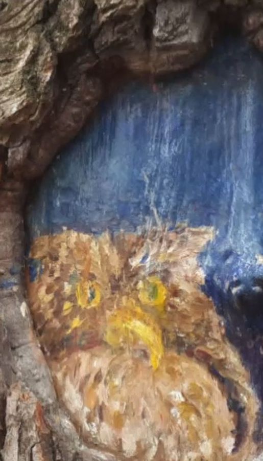 На кількох деревах у Львові з'явилися міні-малюнки звірів, птахів та риб