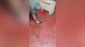 В Сети распространили видео с мужчиной в крови якобы в Ровенском ТЦК – в учреждении ответили