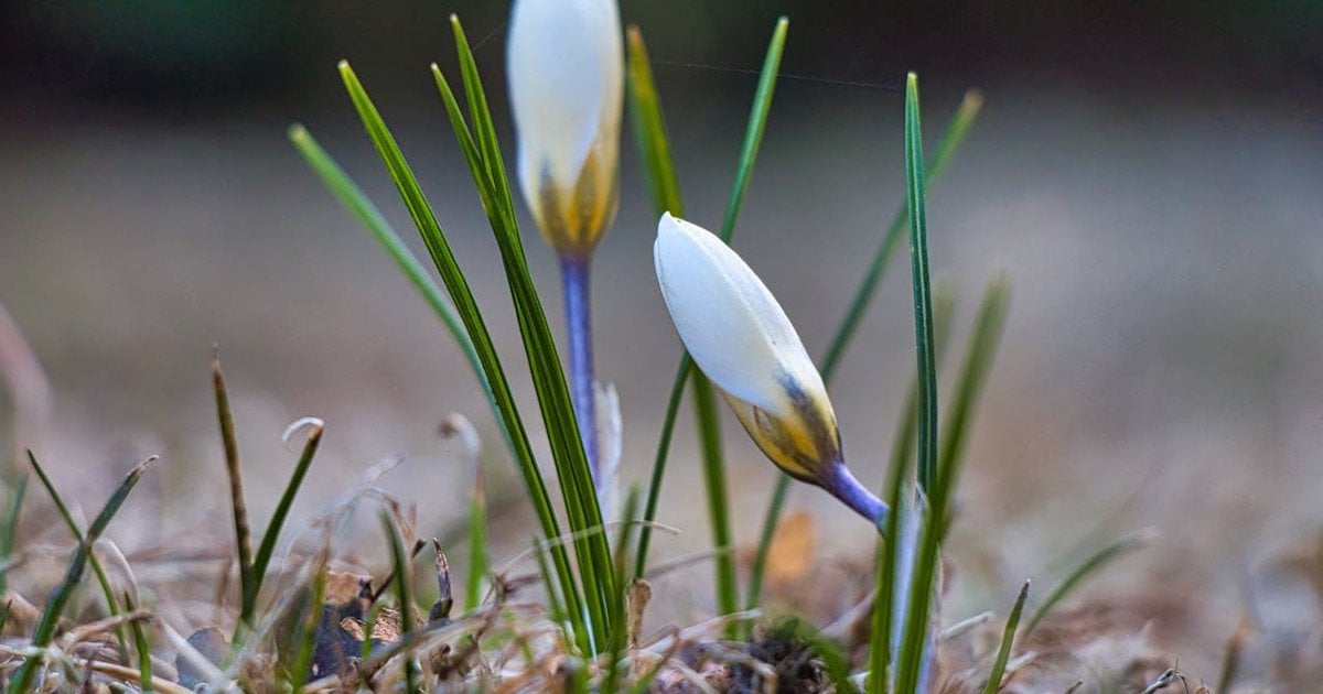 До України прийшло весняне потепління