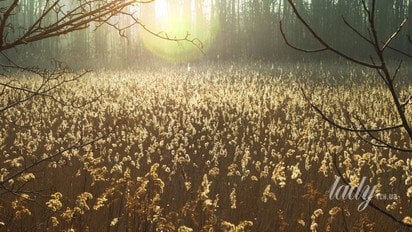 Весенний пейзаж