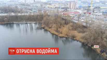 У озеро Лугове на столичній Оболоні систематично заливають мазут та нафтопродукти