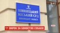 До 5 лет за решеткой приговорили молодого человека, который убил собаку в Виннице