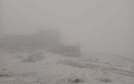 У Карпатах випав сніг: фото